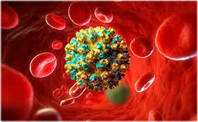Ко-инфекция HCV/HIV 